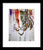 Fierce Eyed Abstract Tiger  - Framed Print - PREMIUM FATURE