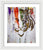 Fierce Eyed Abstract Tiger  - Framed Print - PREMIUM FATURE